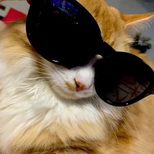 Meet your Posher, Cheryl